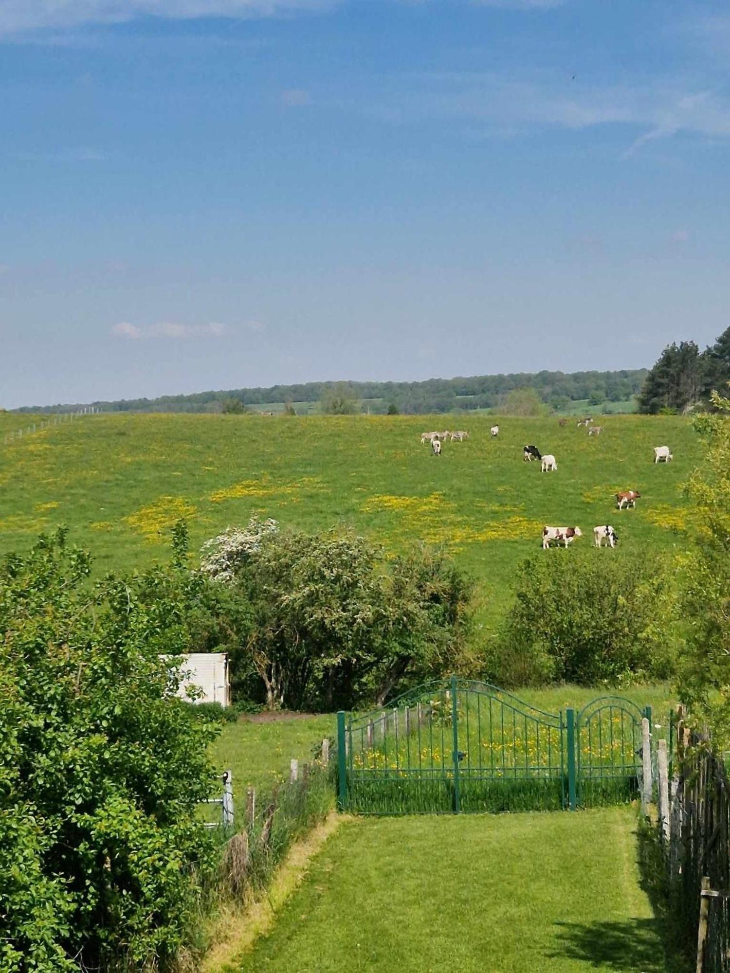 Gites Paille-Foin Cerfontaine Luaran gambar